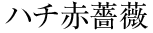 �n�`���K�N