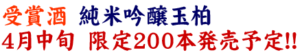 受賞酒　純米吟醸玉柏　4月中旬　限定200本発売予定！！